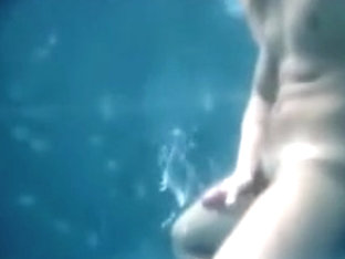 Cute Puppy Pool Toss