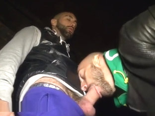 Gay amateur muscle hunks sucking cock