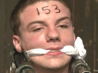 BoundGods : A pain slut and a newcomer Live Show