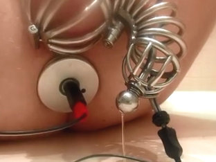 New Cock and Ball Cage